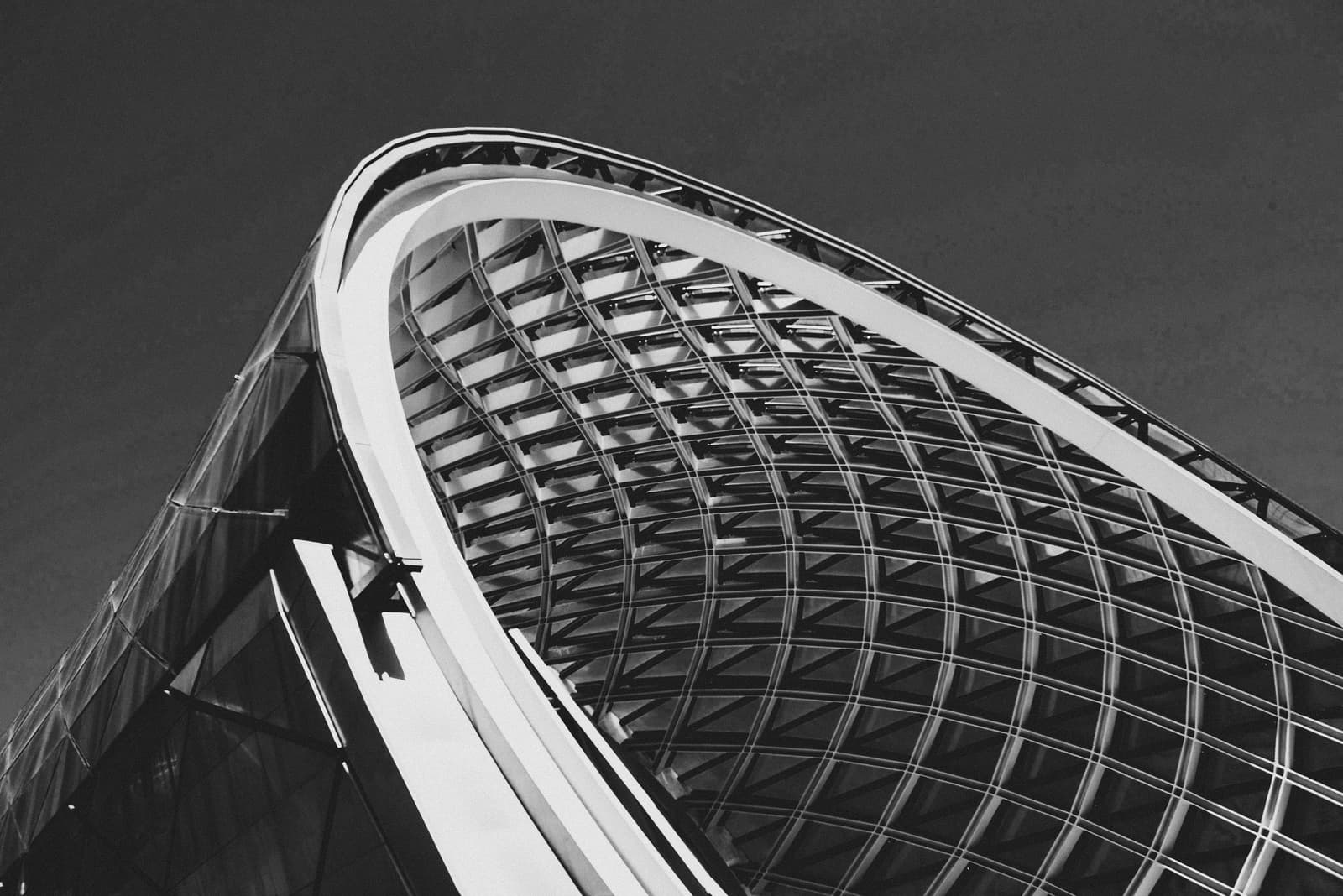 A black and white low-angle shot of a modern building with a curved steel roof structure. A dense grid of steel members creates a diamond pattern across the curved glass canopy, while a thick white curved structural beam frames the edge against a dark grey sky.