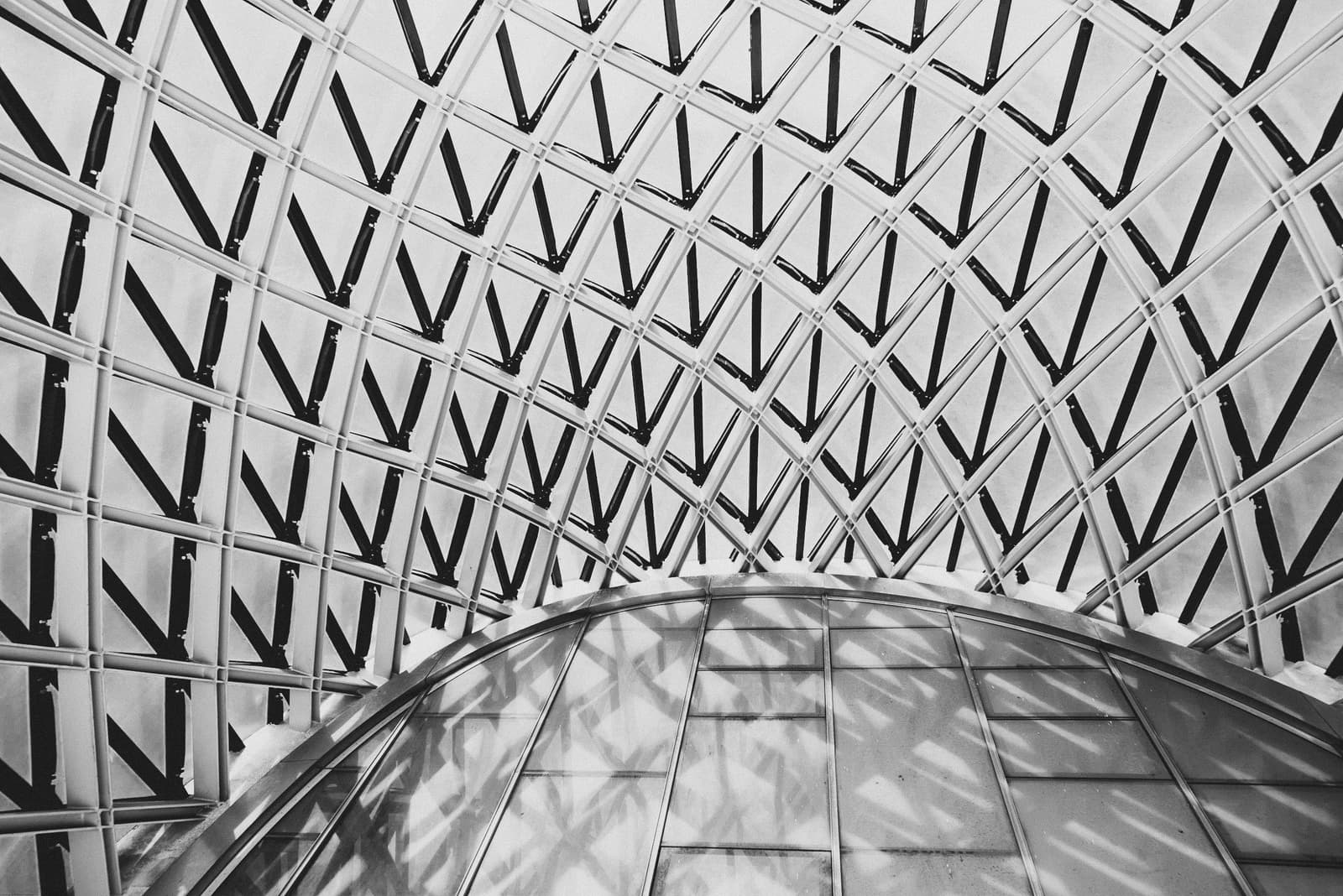 A low-angle, black-and-white architectural shot looking up at a curved roof structure composed of a repeating grid of V-shaped steel supports and glass panels. Strong shadows cast a chevron pattern across the lower section of the frame, highlighting the intersection between the complex metal lattice and the curved glass surface.