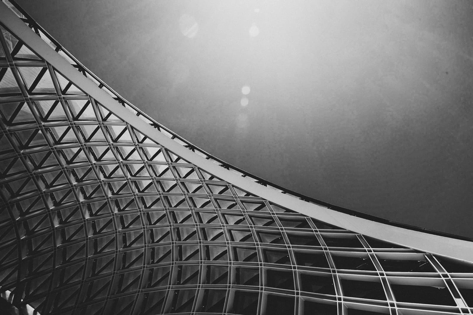 A black-and-white low-angle shot of a curved architectural structure with a complex diamond-shaped grid pattern. A large, smooth, dark overhead plane contrasts with the intricate steel frame, while lens flares from a bright light source appear in the upper portion of the frame.
