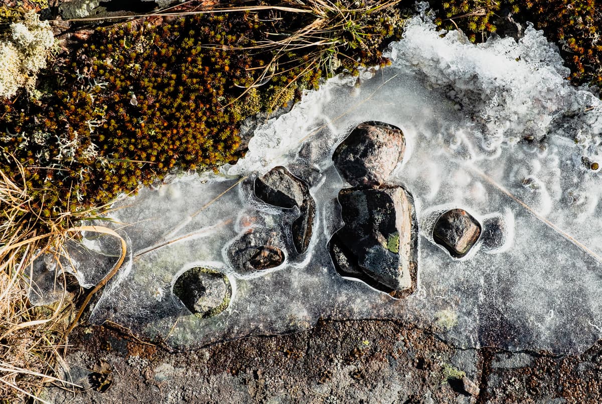 A close-up view looking down at a patch of ice covering dark, textured ground. Several dark, irregularly shaped stones are embedded within or lying on top of the clear ice. The ice is surrounded by patches of dark green moss, brown dried grass, and bare rock at the edges.