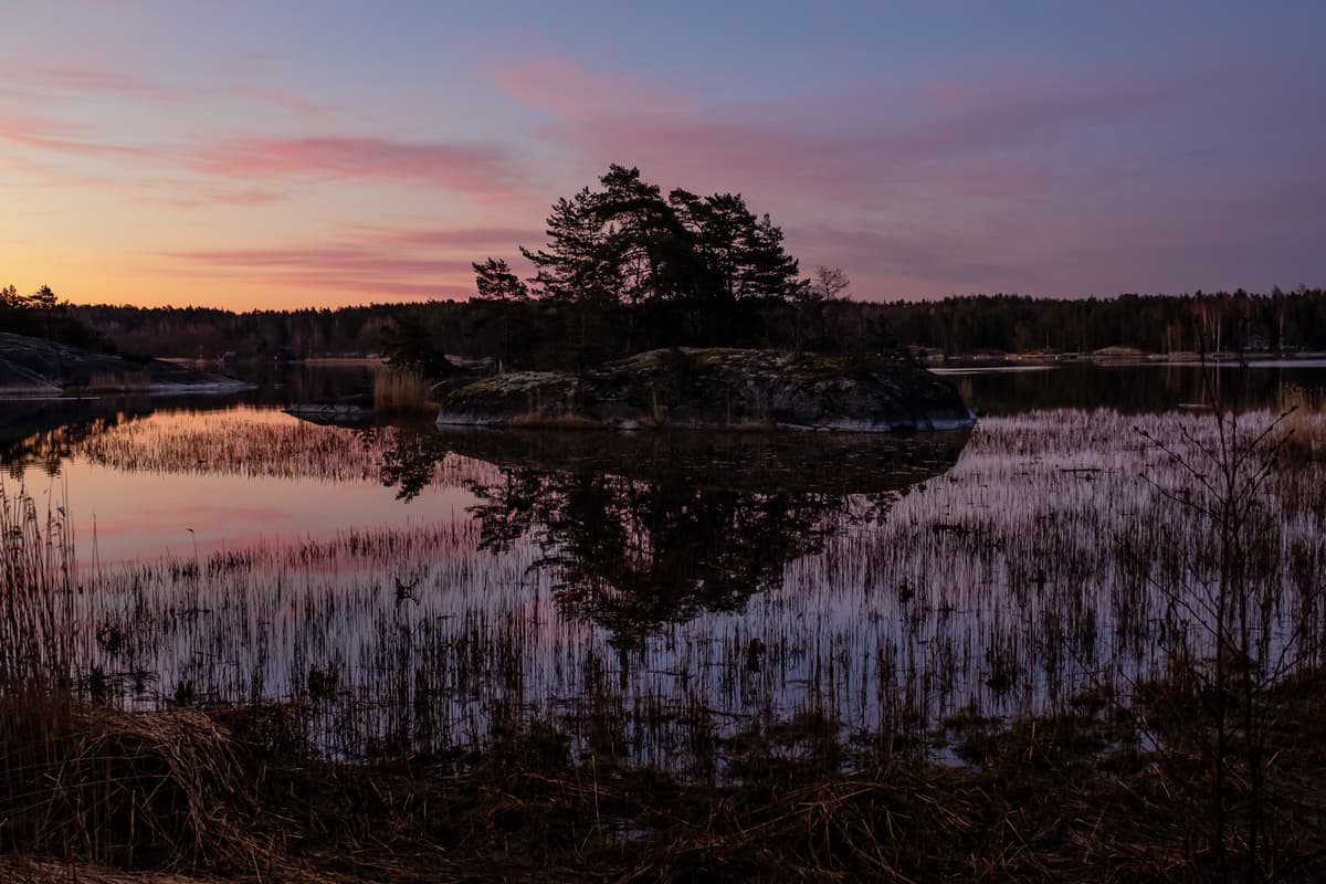 A wide shot of a calm lake at sunrise. A small rocky island with dark pine trees sits in the center of the water. The trees are perfectly reflected in the still surface of the lake. Tall, dry reeds grow in the shallow foreground water. The sky is a gradient of soft orange and purple hues.
