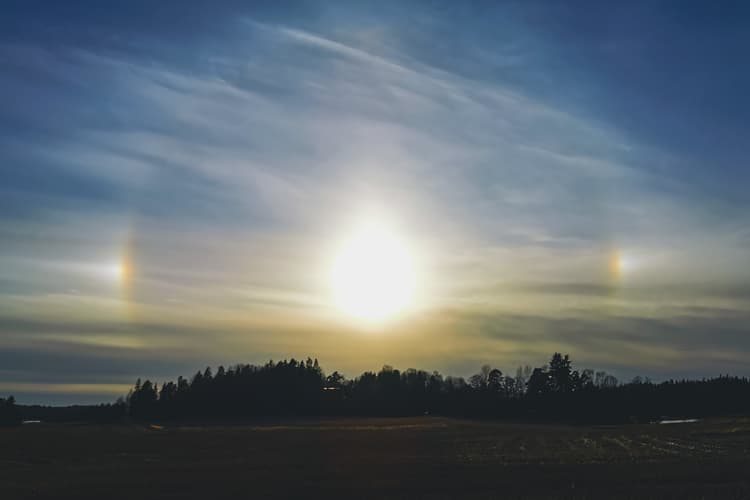 A wide shot of a sunset sky featuring a prominent sun dog phenomenon, with two bright, rainbow-hued patches of light appearing on either side of a glowing sun. The horizon is silhouetted by dark, dense pine trees and an open field in the foreground, with wispy clouds stretching across the blue sky.